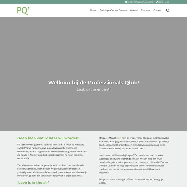 Professionals Q'lub home page image.
